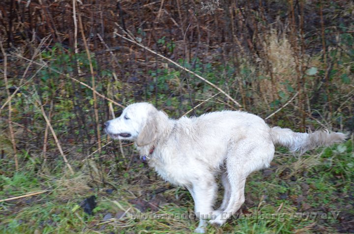Wandertag 2012 - 114.JPG